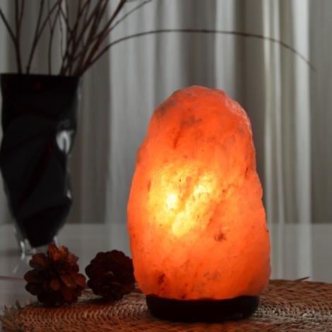 Lampe en Cristal de Sel d'Himalaya de 2 à 3 kg