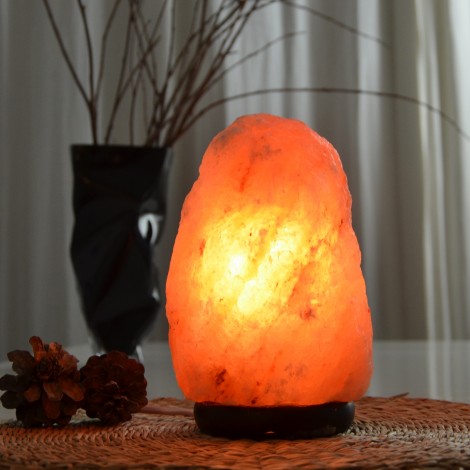  Himalayan Salt Crystal Lamp from 4 to 6 kg