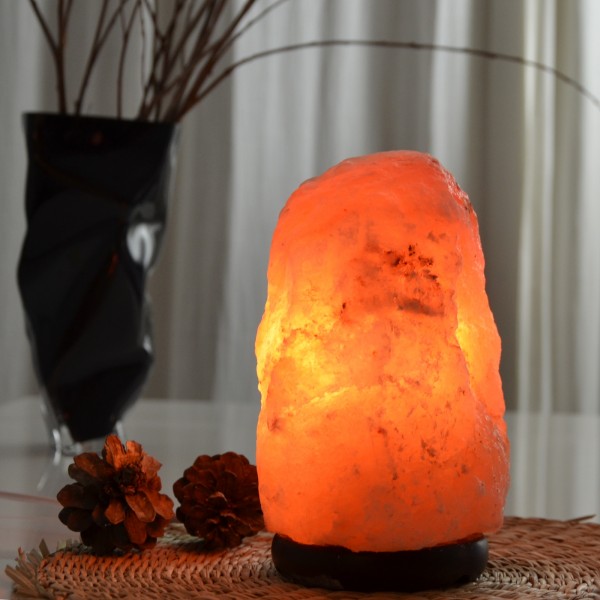 Lampe en Cristal de Sel d'Himalaya de 4 à 6 kg