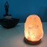  Himalayan Rock Salt Crystal USB Lamp 600g