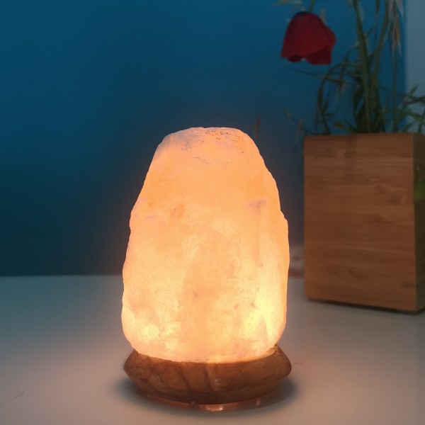 Lampe en Cristal de Sel d'Himalaya de 4 à 6 kg