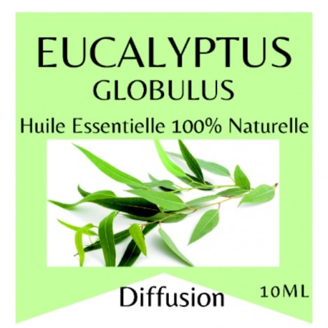 Essential oil 100% Pure and Natural EUCALYPTUS - 10 ml