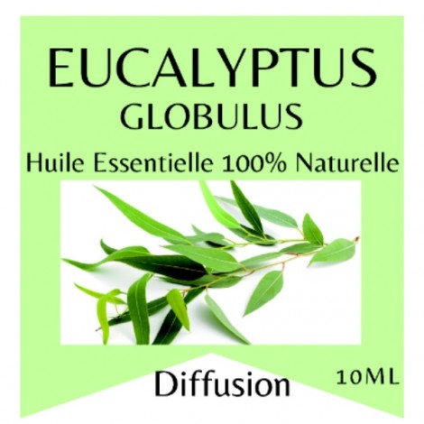 Eucalyptus Essential Oil - 10 ml