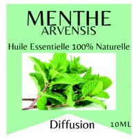 Essential oil 100% Pure and Natural MINT