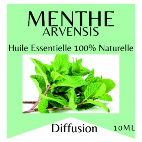 Mint Arvensis Essential Oil - 10 ml