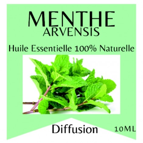 Huile Essentielle Menthe Arvensis - 10 ml
