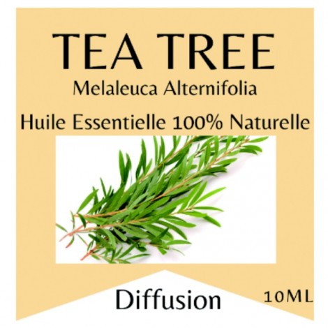 Tea Tree Essential Oil - 10 ml