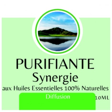 Purifying Essential Oil Synergy - 10 ml