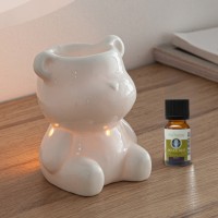 Oil burner Céramy series - Franklin