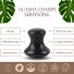 1 Champi GuaSha en Serpentine Noir