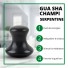 1 Champi GuaSha en Serpentine Noir