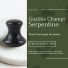 1 Champi GuaSha en Serpentine Noir