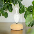 Bao