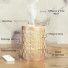 Ultrasonic diffuser - Vienne