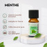 Huile Essentielle Menthe Arvensis - 10 ml