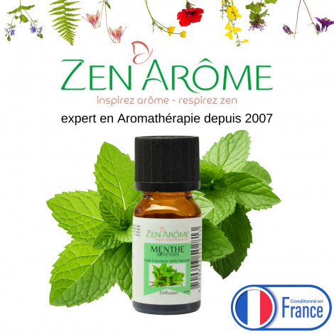 Huile Essentielle Menthe Arvensis - 10 ml