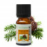 Scots Pine Essential Oil - 10 ml