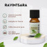 Huile Essentielle Ravintsara - 10 ml