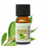 Huile Essentielle Ravintsara - 10 ml