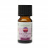 Synergie d'Huiles Essentielles Escale en Provence - 10 ml