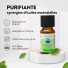 Synergie d'Huiles Essentielles Purifiante - 10 ml
