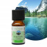 Synergie d'Huiles Essentielles Purifiante - 10 ml