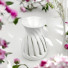Céramy range - White Corta