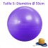 Ballon de Yoga Violet - Taille S 55 cm