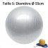Silver Yoga Fitness Ball 55cm