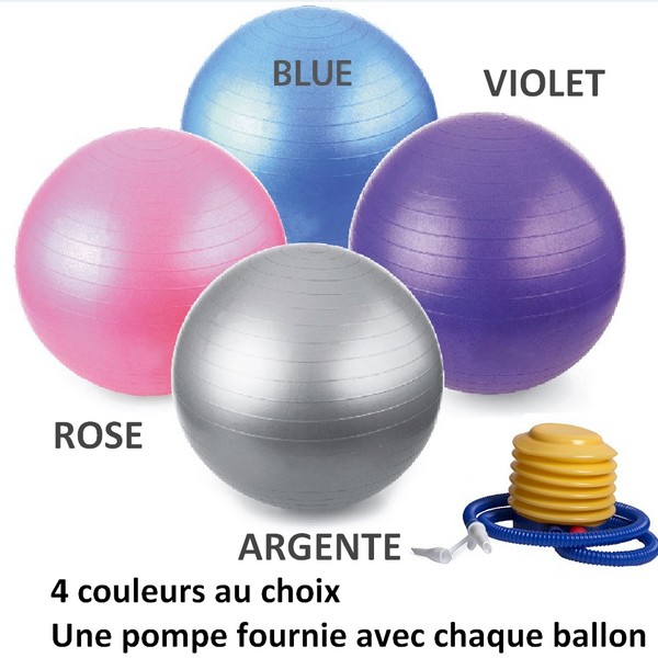 Fournisseur Ballon Suisse Yoga Gym Fitness