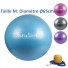 Ballon de Yoga Bleu - Taille M 65 cm