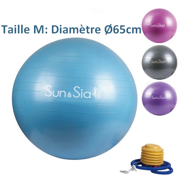 Fournisseur Ballon Suisse Yoga Gym Fitness