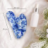 1 Gua Sha en Sodalite Bleue + Housse