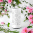 Diffuseur par Chaleur Douce CALORYA N° 15 