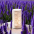 Diffuseur par Chaleur Douce CALORYA N° 15 