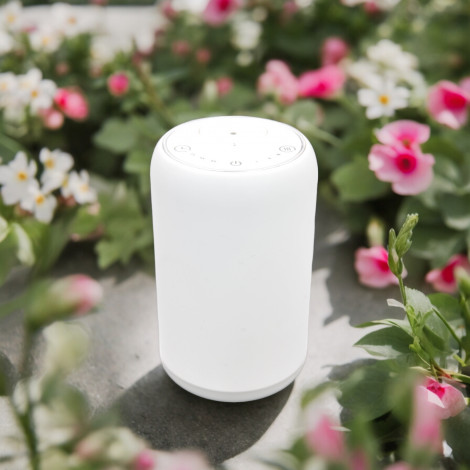 Movisia V2