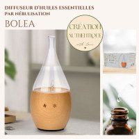 Bolea