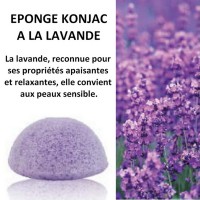 Eponge Konjac à la Lavande