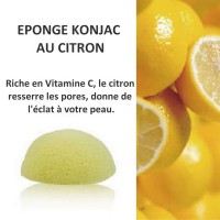 Fournisseur Eponge Konjac au Citron