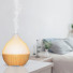 Ultrasonic diffuser - Leo