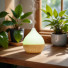 Ultrasonic diffuser - Leo
