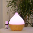 Ultrasonic diffuser - Leo