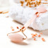 1 Masseur Visage en Quartz Rose + Housse
