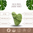 1 GuaSha en Pierre de Jade Vert + Housse