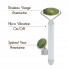 Masseur Visage Electrique Aventurine