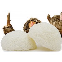 Eponge KONJAC spéciale Yeux Nature