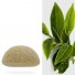 Konjac sponge with Green Tea