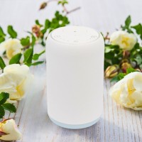 http://www.zen-arome.fr/en/3-Producer-diffusers-essential-oils-nebulization