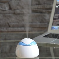 http://www.zen-arome.fr/en/5-wholesaler-usb-diffuser-aromatherapy